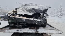 A man miraculously survived after a 7-tonne tree fell on his moving car