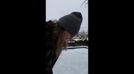 Drfting the sled is a winter activity we do on our ice rink in our garden which was interupted by my 3 Alaskan Malamutes who wanted to pull the sled.d