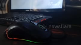 A mouse with a keyboard and a computer monitor in the background
