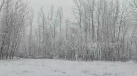 Snow covers parts of India's Jammu and Kashmir