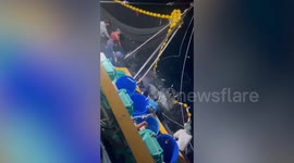 Kind fishermen helps free whale shark trapped in their net