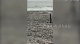 35-foot humpback whale washes ashore dead on beach in New York State