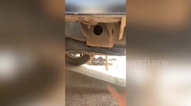 Couple rescue four kittens trapped under car after hearing their faint meow sounds