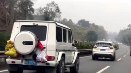 Chinese motorist attaches live chicken and duck to car as they drive along highway