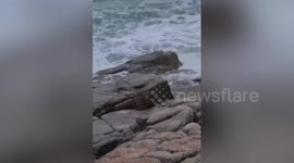 Burmese tourist missing after being swept away by strong waves while sitting on rocks