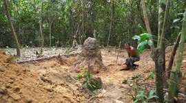 Craftsmen dig out underground living area in Cambodian forest