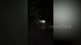 British tourists among lost group rescued from hiking trail in Thai jungle