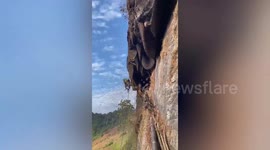 Brave workers collect wild bee honey from cliffs in China