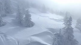 Cable car passengers in awe at winter wonderland forest in Japan
