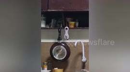 Kitchen pans shake as magnitude 5.3 earthquake rocks the Philippines