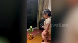 Adorable toddler has dance showdown with wiggly toy cactus