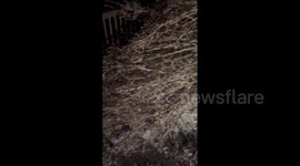 US: Ice Storm Hits Texas, Damage And Power Outage Reported Across State