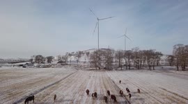 Wind Power In Inner Mongolia, China