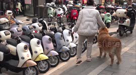 Electric Bicycles Displayed in Yichang, China