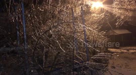 US: Trees, Power Lines Left Coated In Ice Following Days Of Freezing Rain In The South