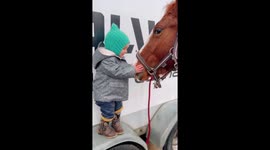 Little 1year old girl is petting and loving a sweet horse
