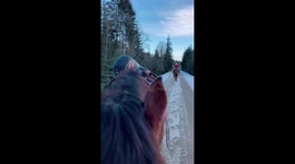 In this video little baby girl is enjoying and relaxing her ride on a sweet horse
