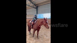 This 1-year-old girl has unbreakable relationship with horse - she even rides it