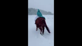 Little girl dream comes true  as she dressed like a cinderella on her favourite horse.
