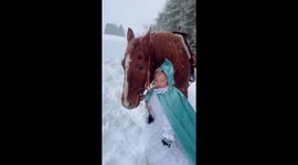 Little girls dream comes true as she dresses like a cinderella on her favourite horse.