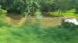 Travelling in trains. Beautiful countryside. View of the agricultural fields of India .