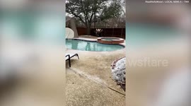 Winter storm batters Texas leaving one homeowner reeling after driver smashes into their backyard