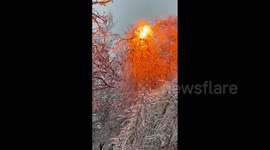 Power line catches fire as tree branches snap under weight of ice in Texas