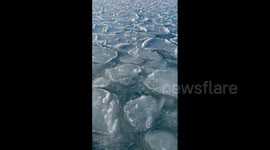 Pancake ice spotted along Pacific Coast in Hokkaido, Japan