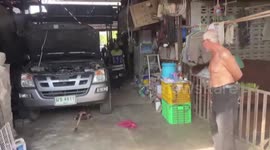 Pet dog with  head stuck in pickup truck’s engine rescued in Thailand