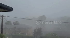 'Mini cyclone' rips through New South Wales, damaging trees and buildings