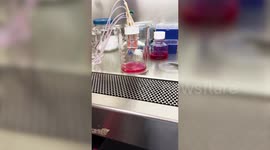 Bioengineers have devised way of growing skin in the shape of HANDS