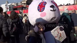Giant stuffed panda head entertains revelers at Chinese New Year 2023 celebrations in Trafalgar Square