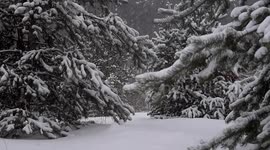 La nature dans toute sa splendeur