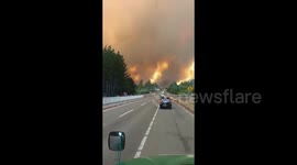 Wildfires rage in central Chile as state of catastrophe declared