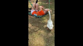 Zoie & Quackers
