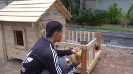 Build Wooden Dog House and Swimming Pool for Dogs