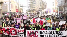 Manifestaciones en 44 ciudades españolas por los perros de caza: