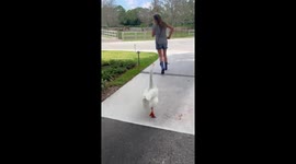 Quackers & Meg