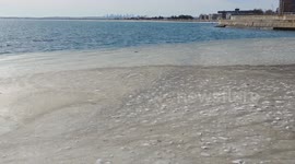 Boston Thawing Out From Deep Freeze as Temperatures Skyrocket to 40s After Arctic Blast