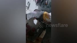 Child rescued from building collapse after earthquake struck Syria