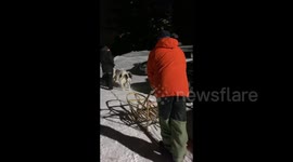 Crazy Brit Martin hates Canadian winters and takes up dogsledding joining Mush Larose Sled Dog Club's  annual Night Run in -28 celcius freezing weather with his team of 4 Alaskan Malamutes