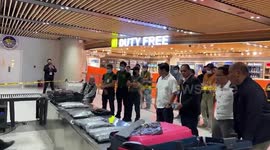 Sharp-nosed drug sniffer dog catches South African passenger 'smuggling 2.2M USD worth of meth into the Philippines'