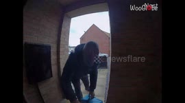 UK delivery man gets spooked as dog bursts out customer's door