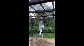 Hero dad goes above and beyond to transform backyard into a dream wedding venue for his daughter
