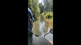 The Mahakam River floods and submerges the bridge in Indonesia