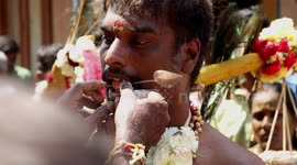 Hindus display extreme devotion by piercing flesh with skewers during festival