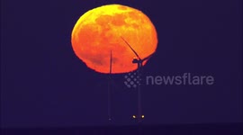 Orange-coloured Snow Moon seen rising in Kent, UK
