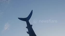 The Headington Shark House is a 25ft long steel and fibreglass sculpture of a shark crashing through the roof of an otherwise average house in Headington