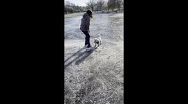 Epic fail - Ice skater falls over with cute dog on a frozen wetlands puddle.