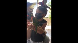 here bird come and enjoy the treats, enjoying the moment